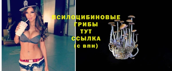 гидропоника Абинск