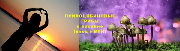 гидропоника Абинск