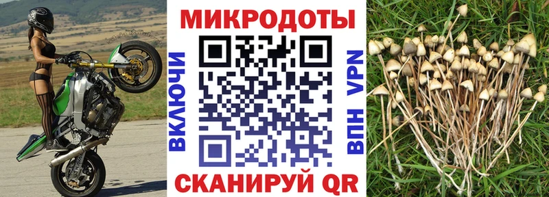 Псилоцибиновые грибы мухоморы Серпухов