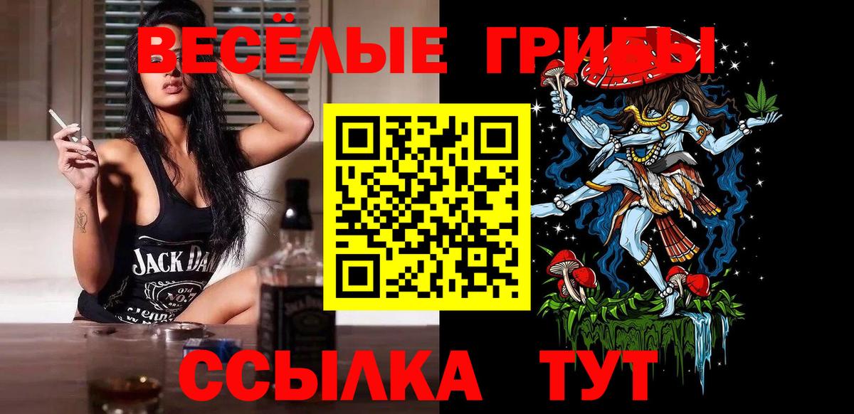 Галлюциногенные грибы Psilocybine cubensis Серпухов